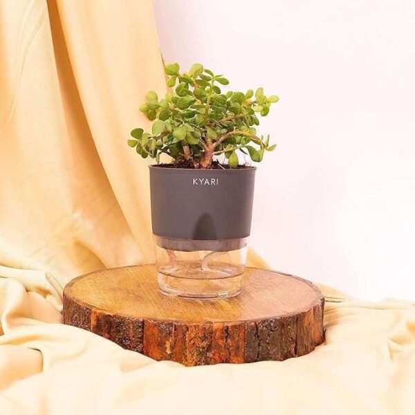 Self Watering Plant Pot 3 Container - Image 2