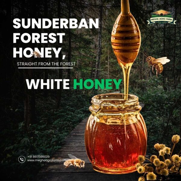 Khalsi Flower Sunderban Honey